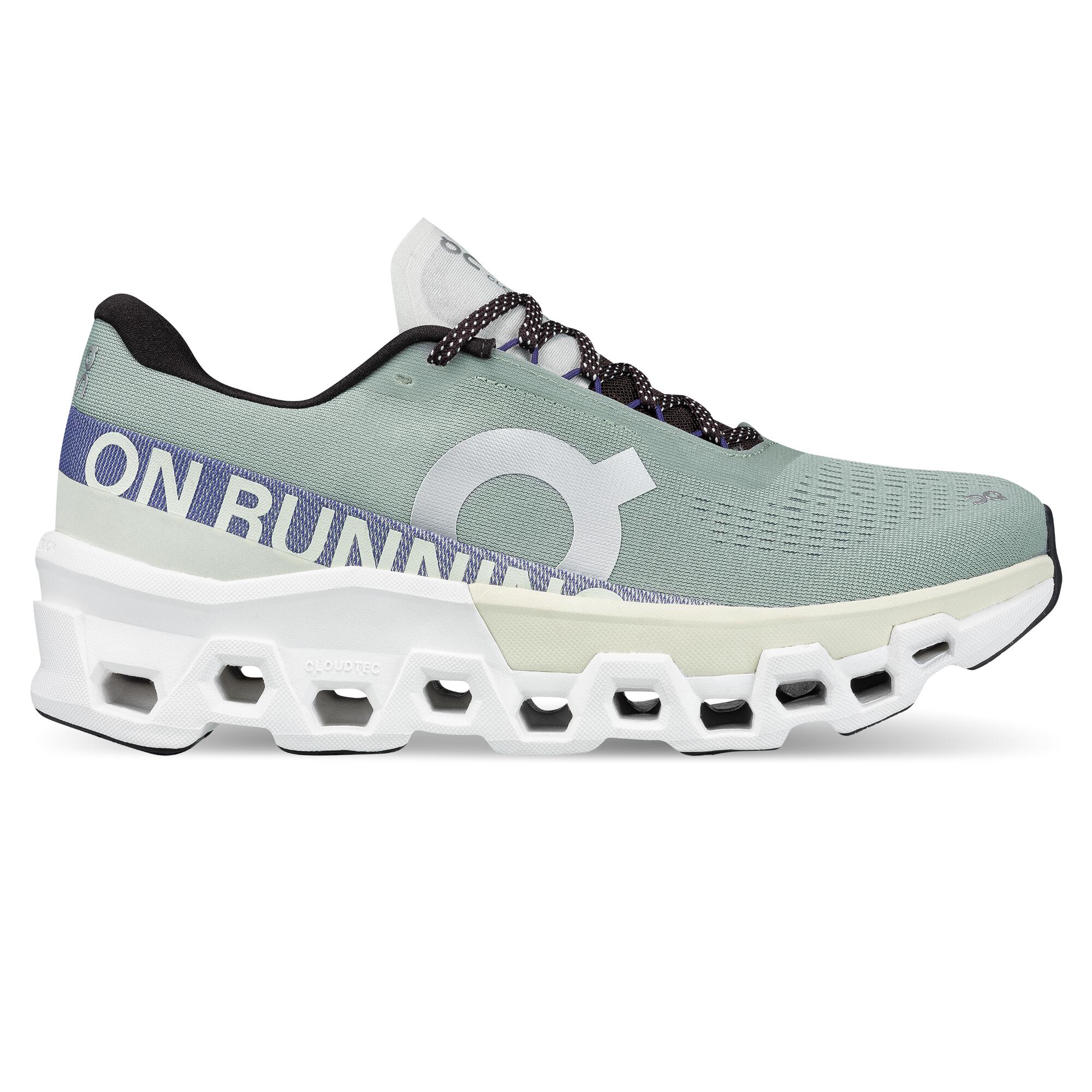 Buty do biegania damskie On Cloudmonster 2 mineal/aloe