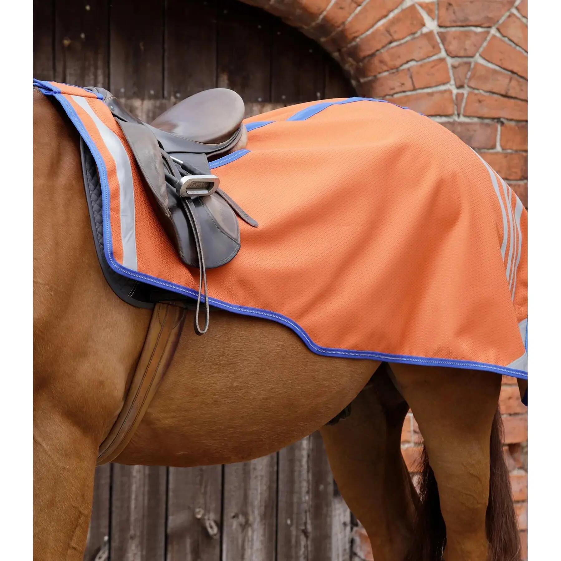 Derka treningowa dla konia Premier Equine Stratus