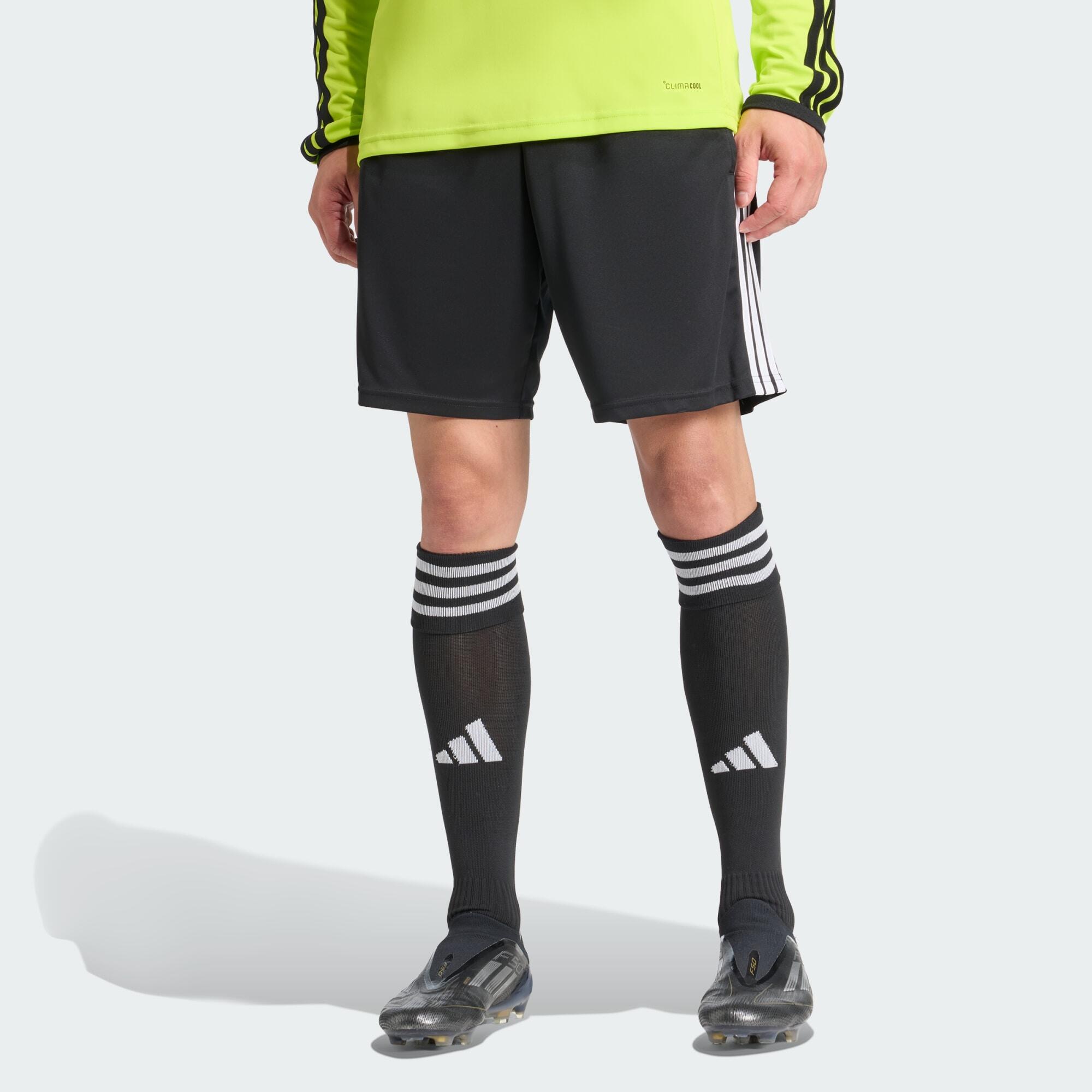 SPODENKI REFEREE 26