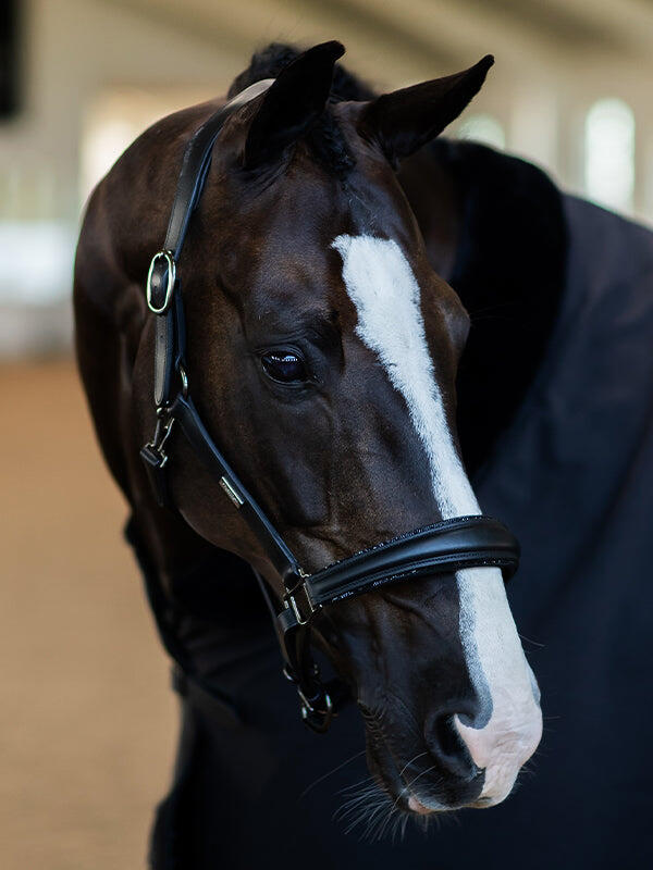 Skórzany kantar dla koni Equestrian Stockholm Glimmer Anatomic