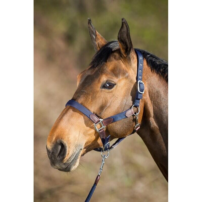 Kantar z liną nylon HFI Neoprene Smart