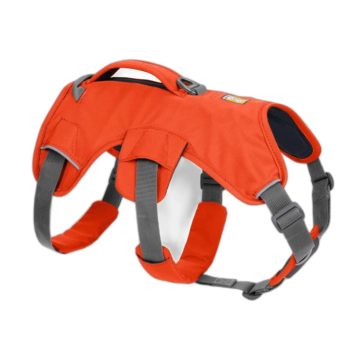 Harnais dla psa z uchwytem Ruffwear Web Master