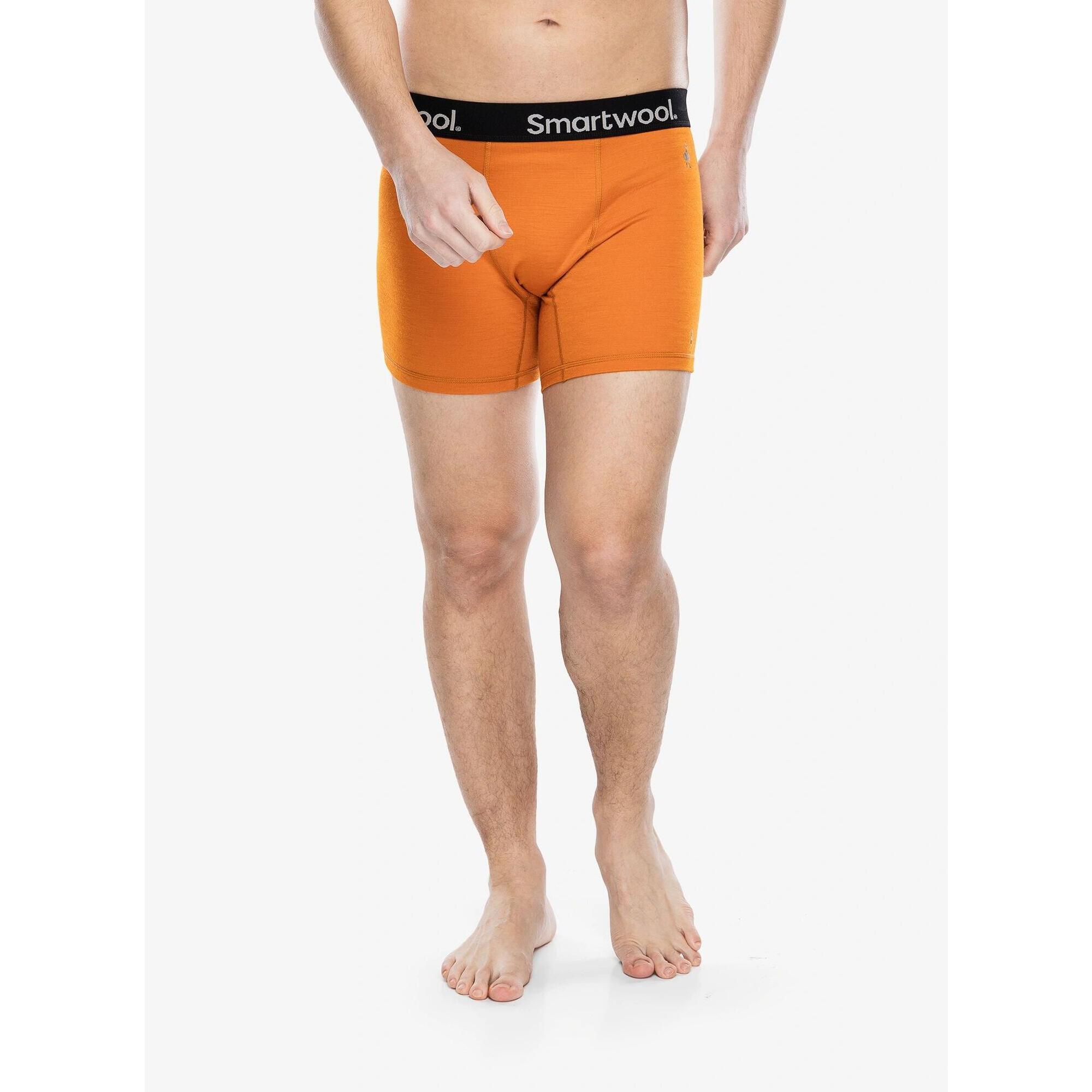 Bokserki termoaktywne męskie Smartwool Active Boxer Brief Boxed