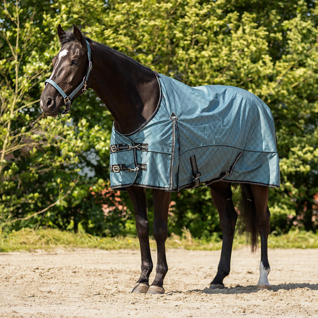 QHP Regendeken Turnout Collection 0gr - Palm Green