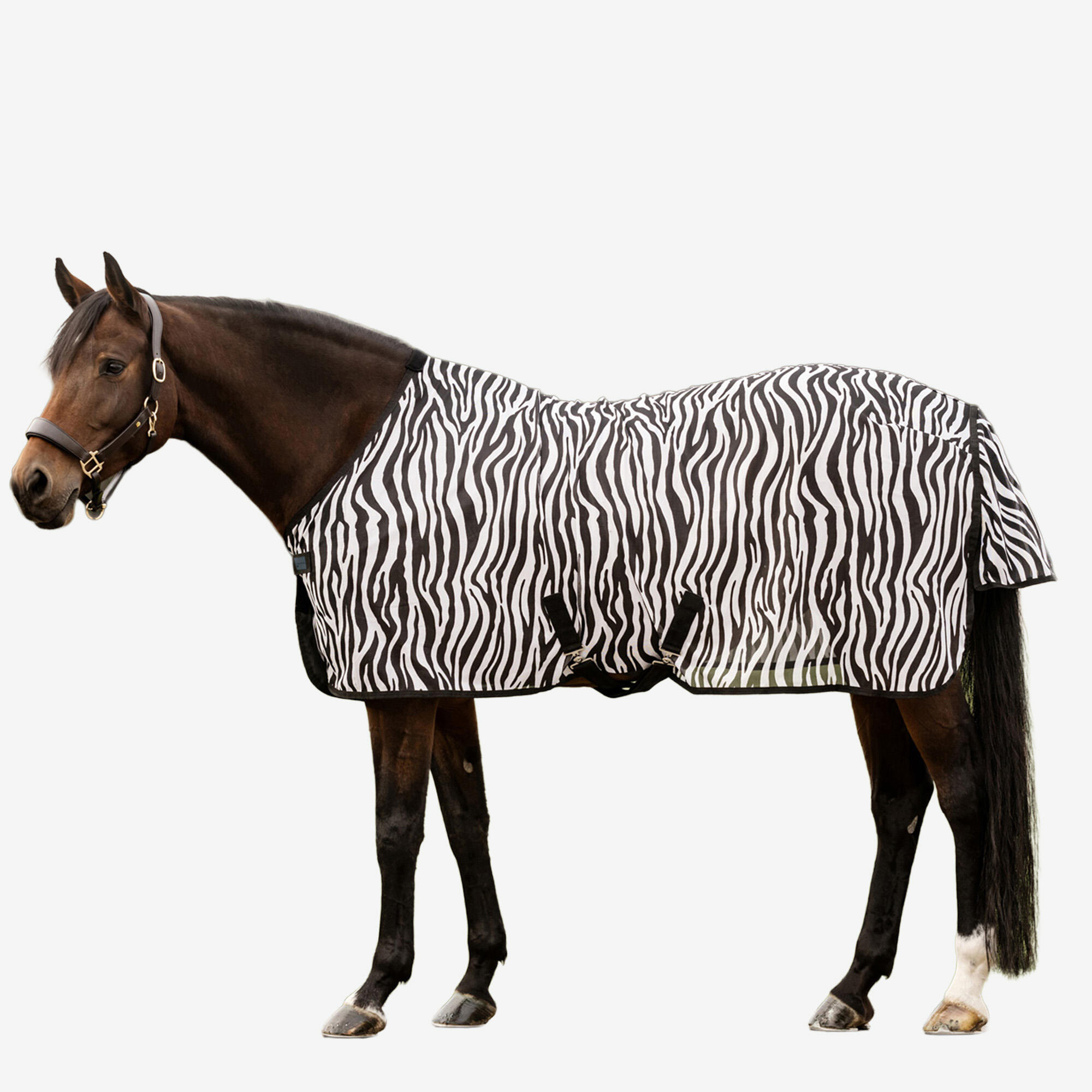 Derka przeciw owadom dla koni i kuców - wzór zebra