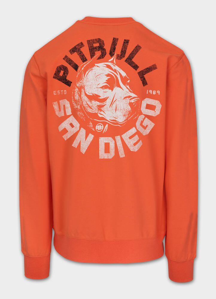 Bluza męska Pitbull DOG SD