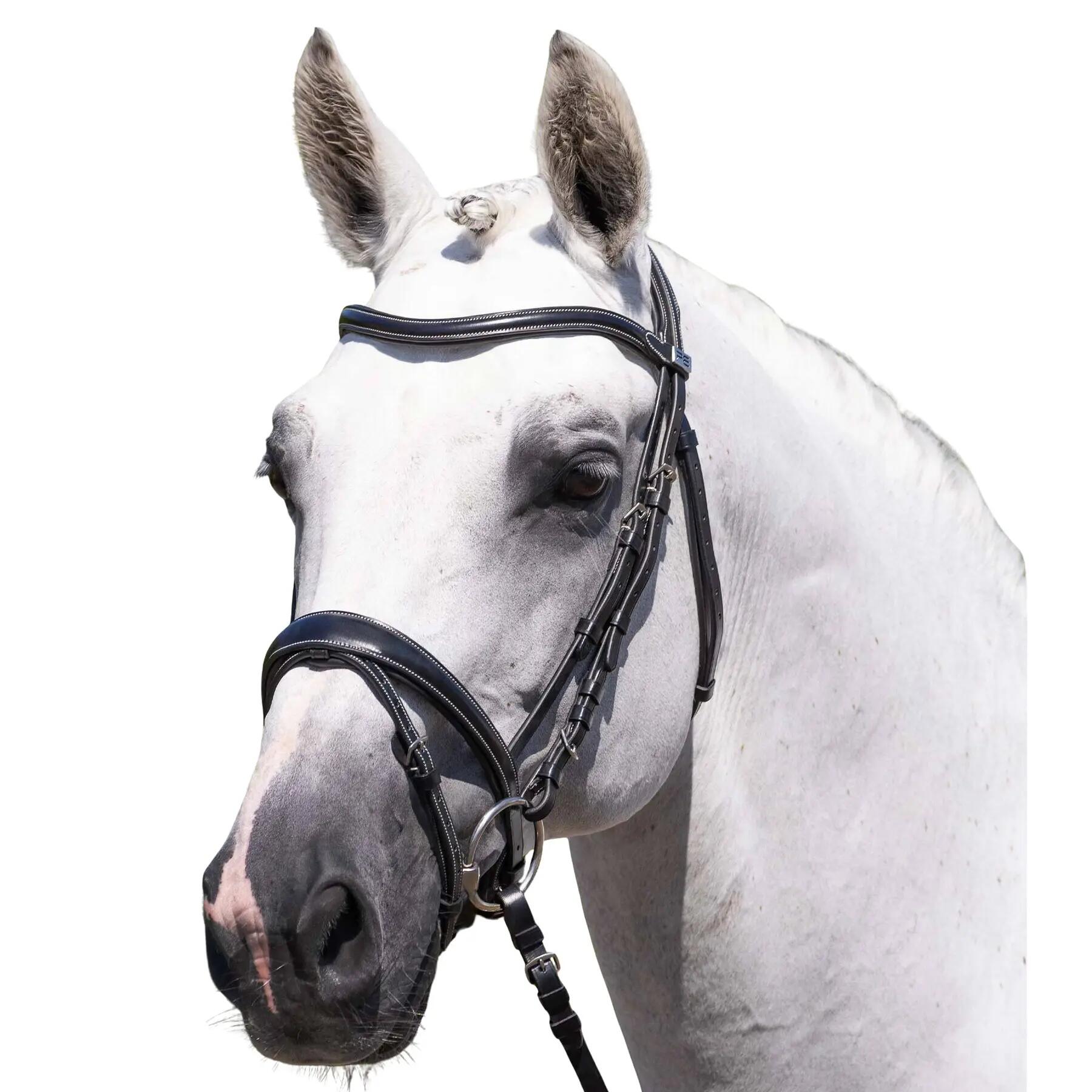 Rękawice do konia Premier Equine Cassano
