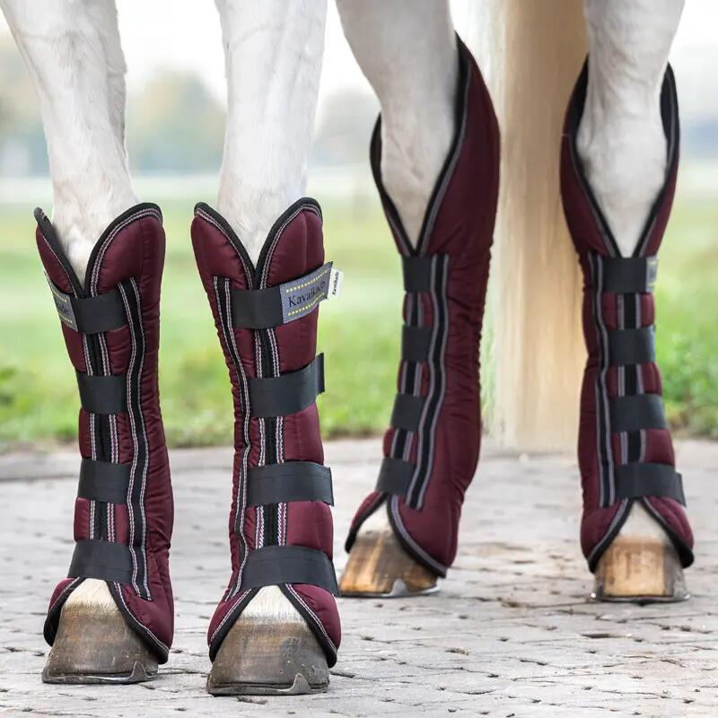 Buty transportowe dla koni Kavalkade (x4)