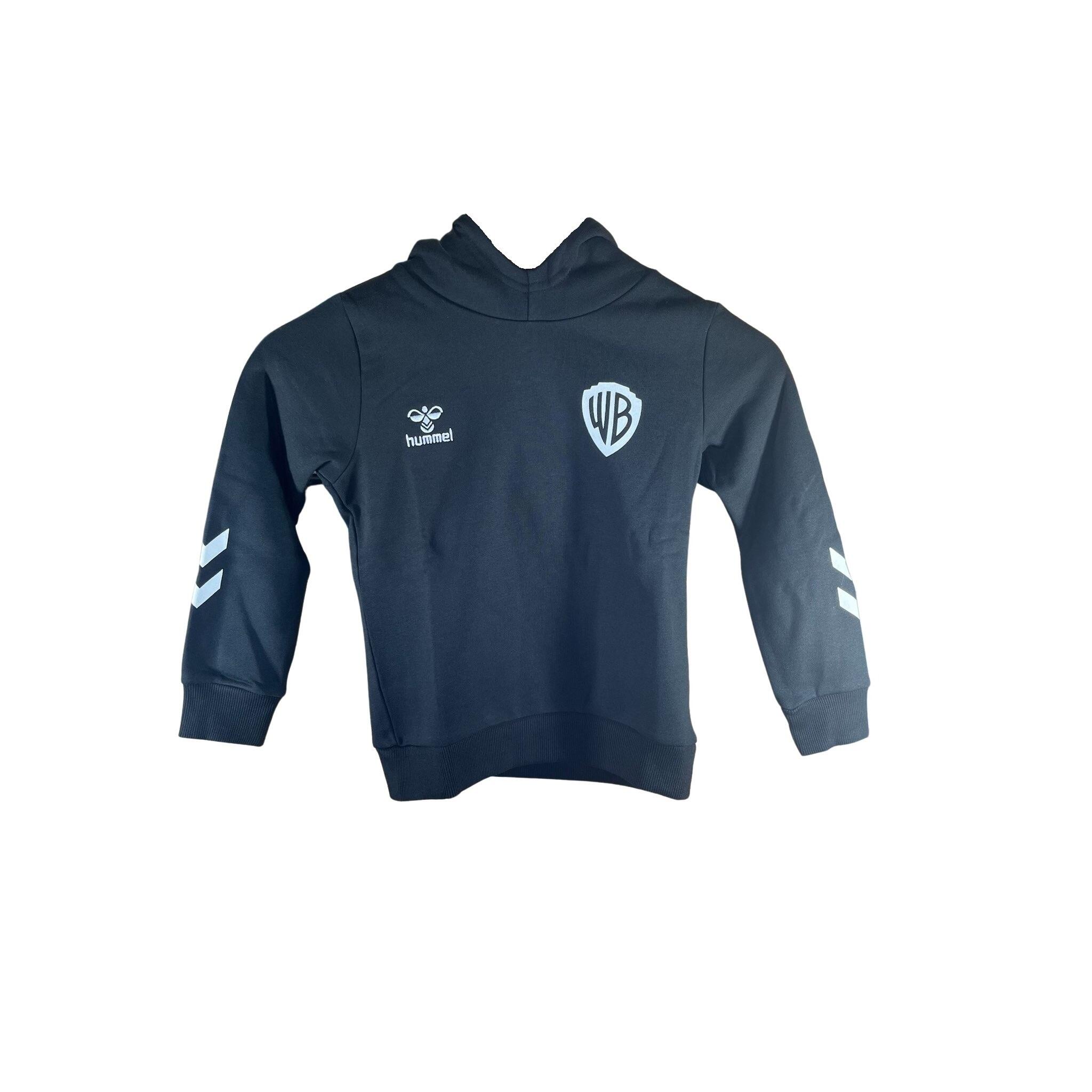 Bluza z kapturem dla dzieci Hummel Celebrating Story