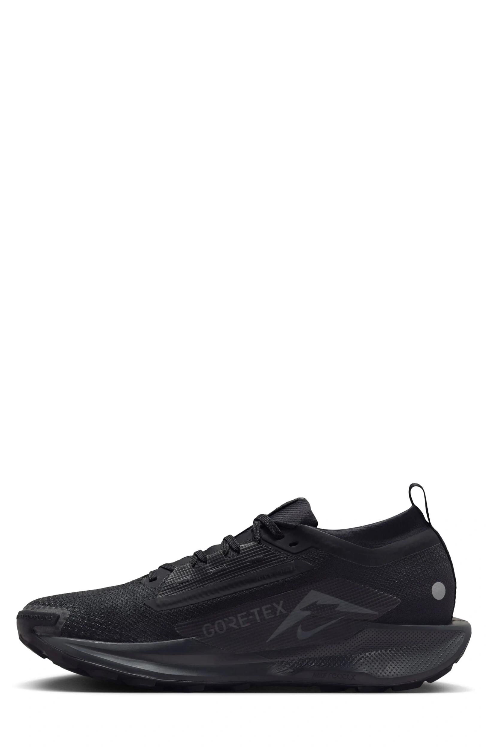 Nike W REACTX PEGASUS TRAIL 5 GTX (FQ0912-002)