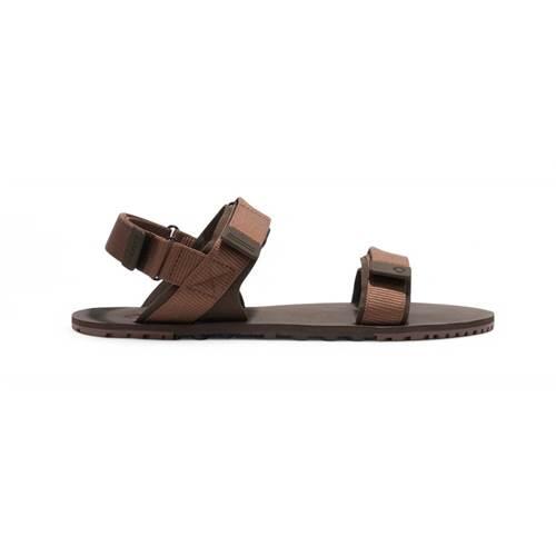 Buty do chodzenia męskie Xero Shoes D-trail