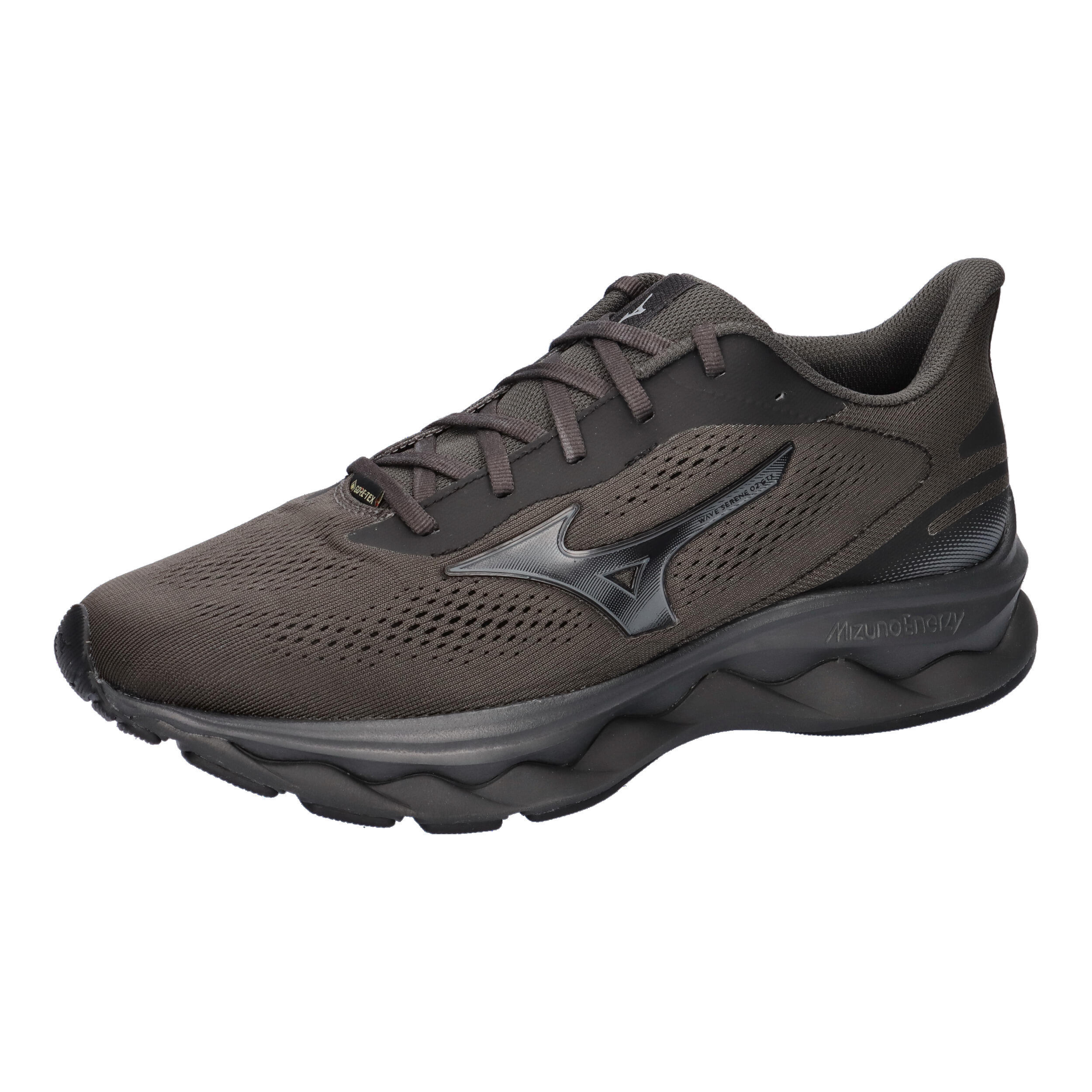 Buty do biegania damskie Mizuno Wave Serene 2 GTX black