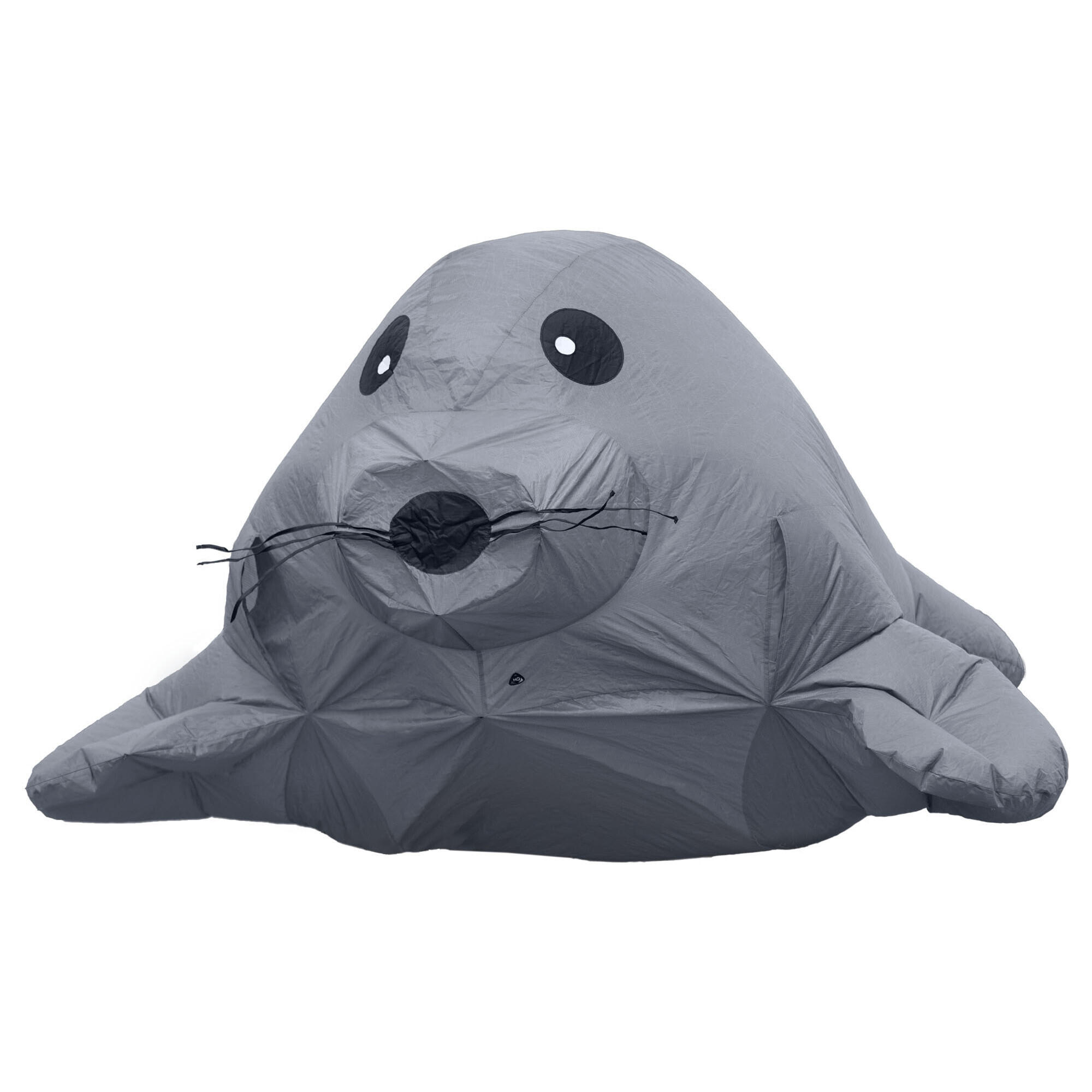 Foka HQ Kites Buddy