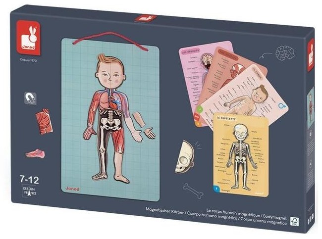 Zabawka edukacyjna,zabawki magnetyczne Janod Układanka Magnetyczna Ciało Człowieka J05491