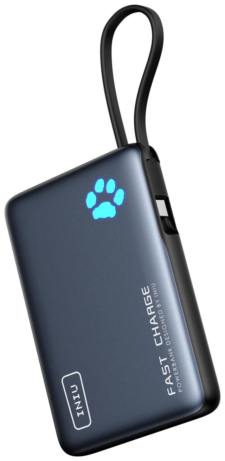 Iniu PowerPaw 10K