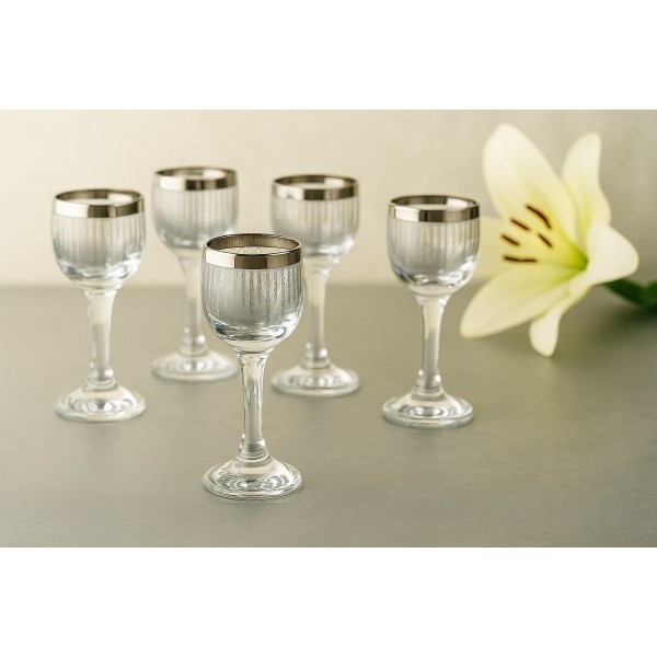 Komplet 6 kieliszków do wódki 25 ml Koral Platinium