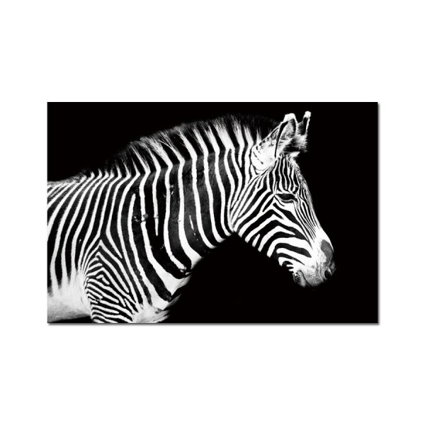 Obraz szklany 120x80 Zebra (260280)
