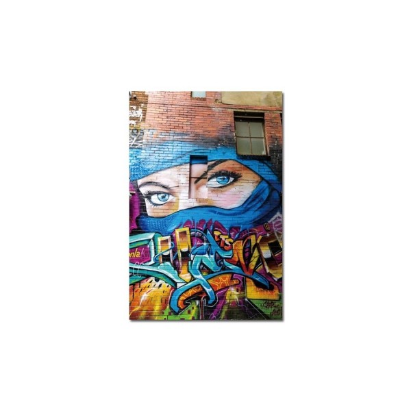 Obraz szklany 80x120 Graffiti