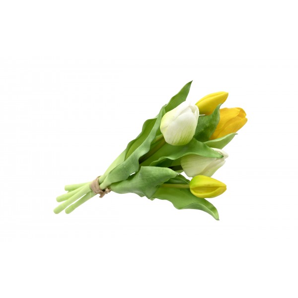 Bukiet 5 tulipanów biało-żółtych 30 cm CX0205