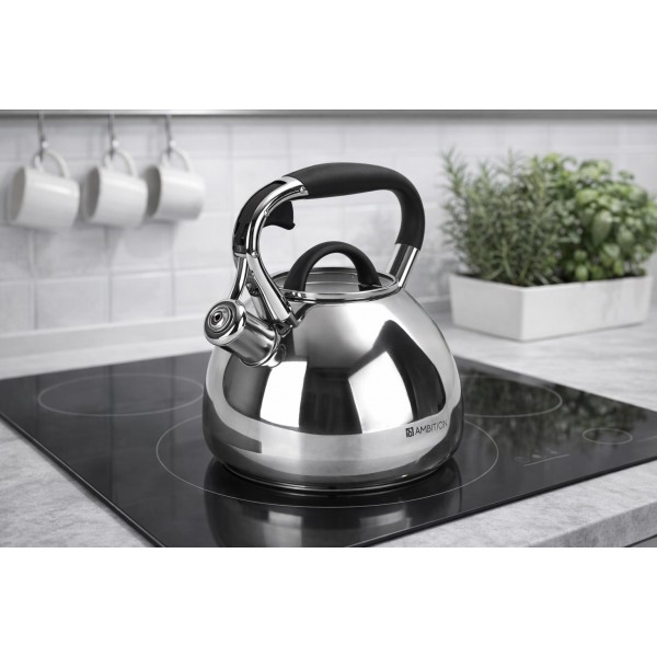 Czajnik tradycyjny z gwizdkiem 2 3 L Octavio Satyna