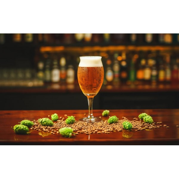 Szklanka do piwa Craft 410 ml