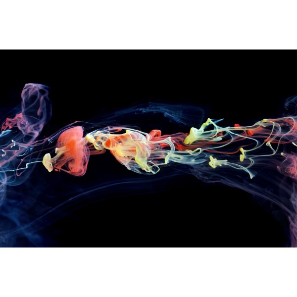 Obraz szklany 120x80 Art Color