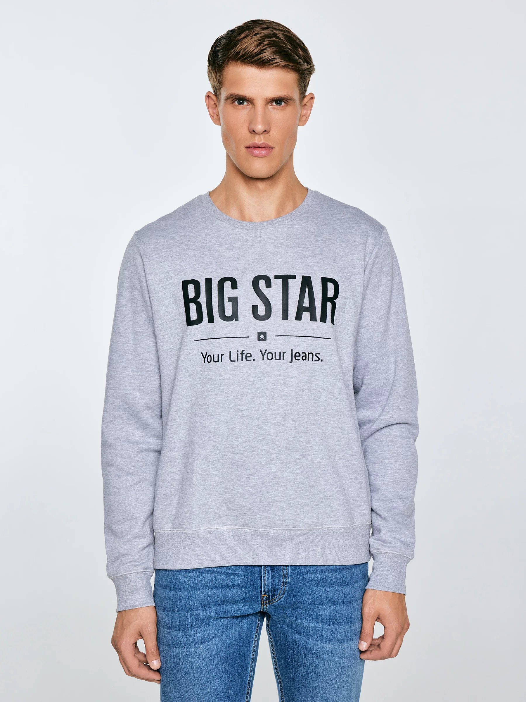 Bluza męska z nadrukiem szara Ecodort 901