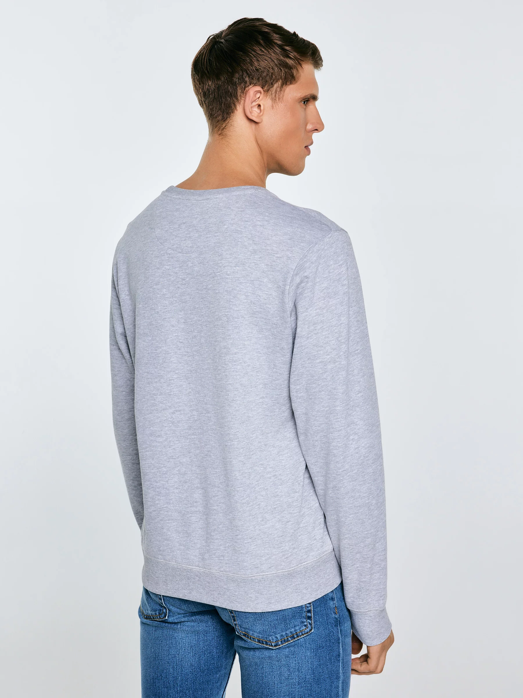 Bluza męska z nadrukiem szara Ecodort 901