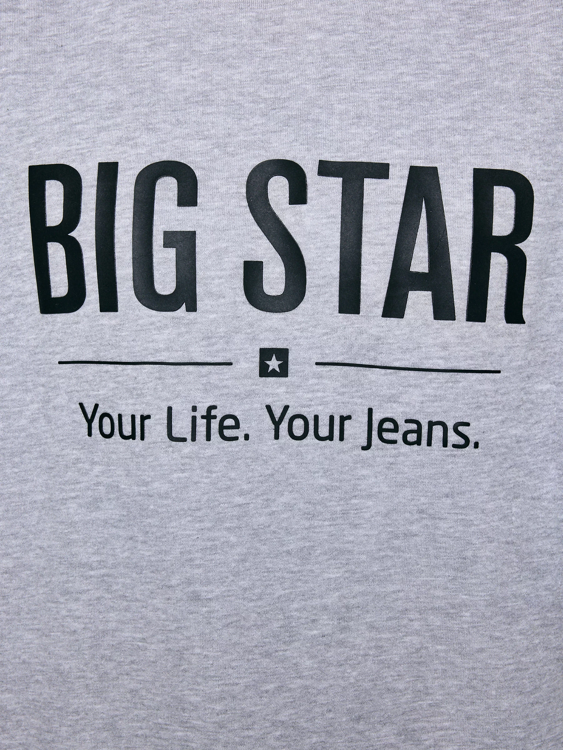 Bluza męska z nadrukiem szara Ecodort 901