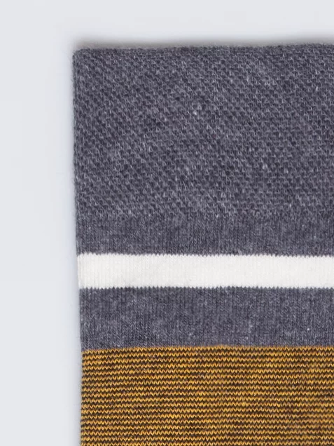 Skarpety męskie długie w kolorowe paski szare Ismael 903