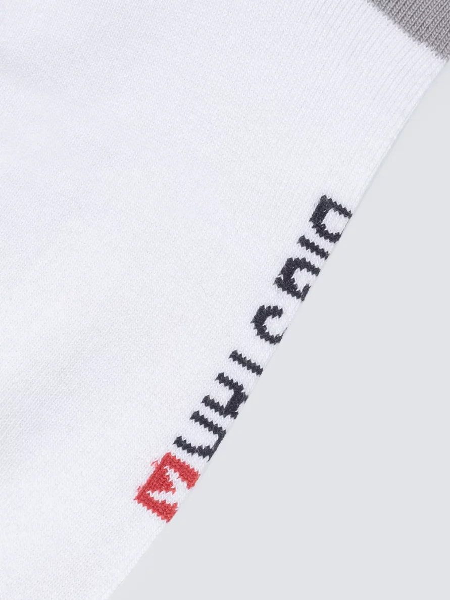 Stopki bawełniane szaro-białe Filixos 902