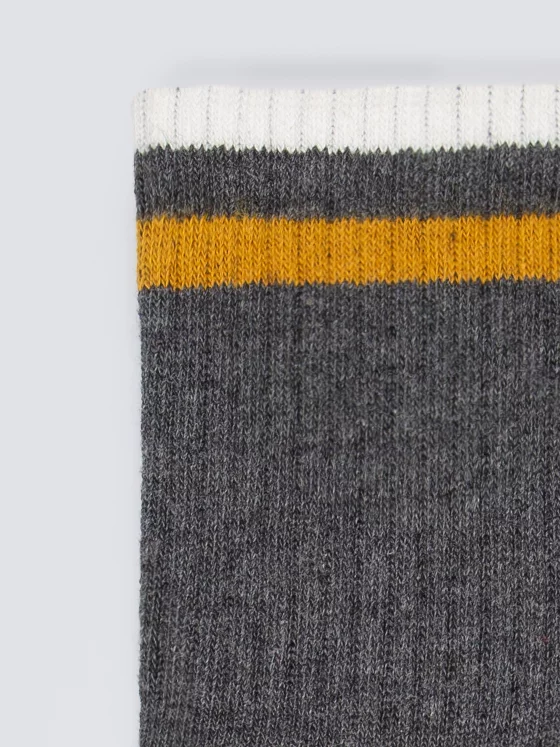 Skarpety męskie z paskami szare Ribi 903