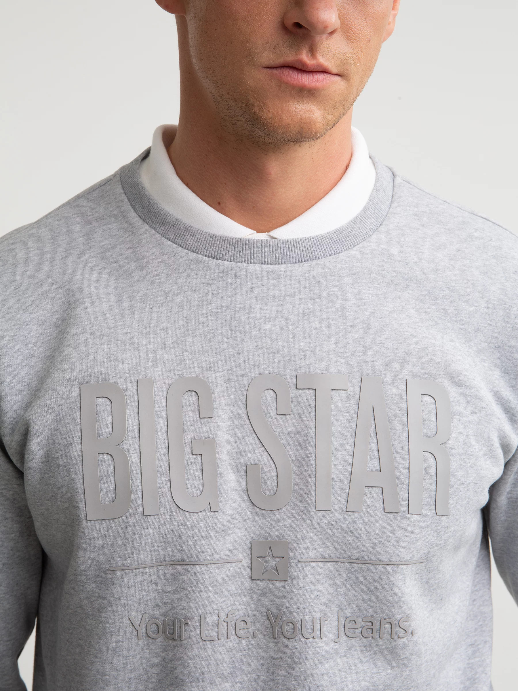 Bluza męska z nadrukiem szara Ecodort 902