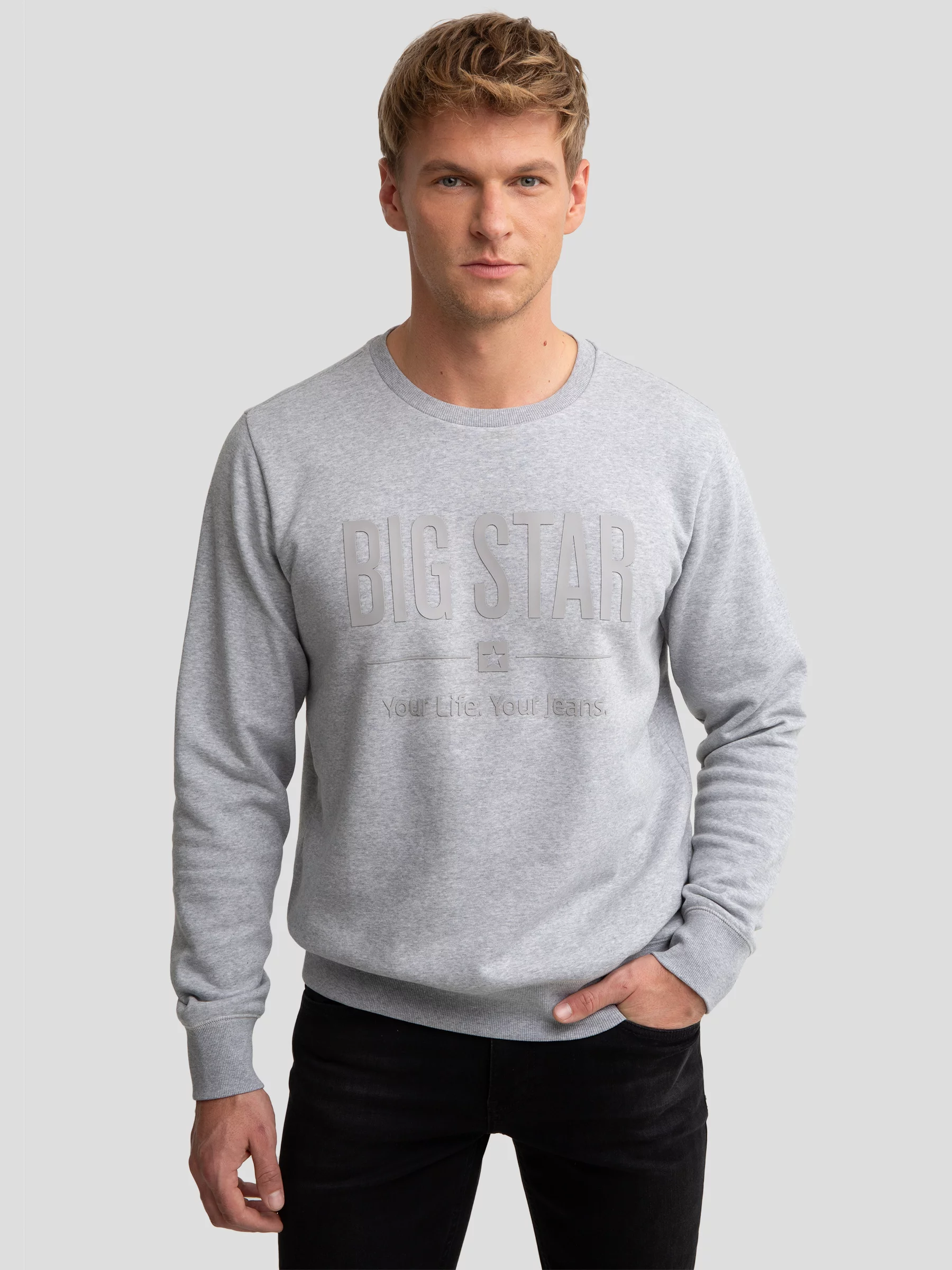 Bluza męska z nadrukiem szara Ecodort 902