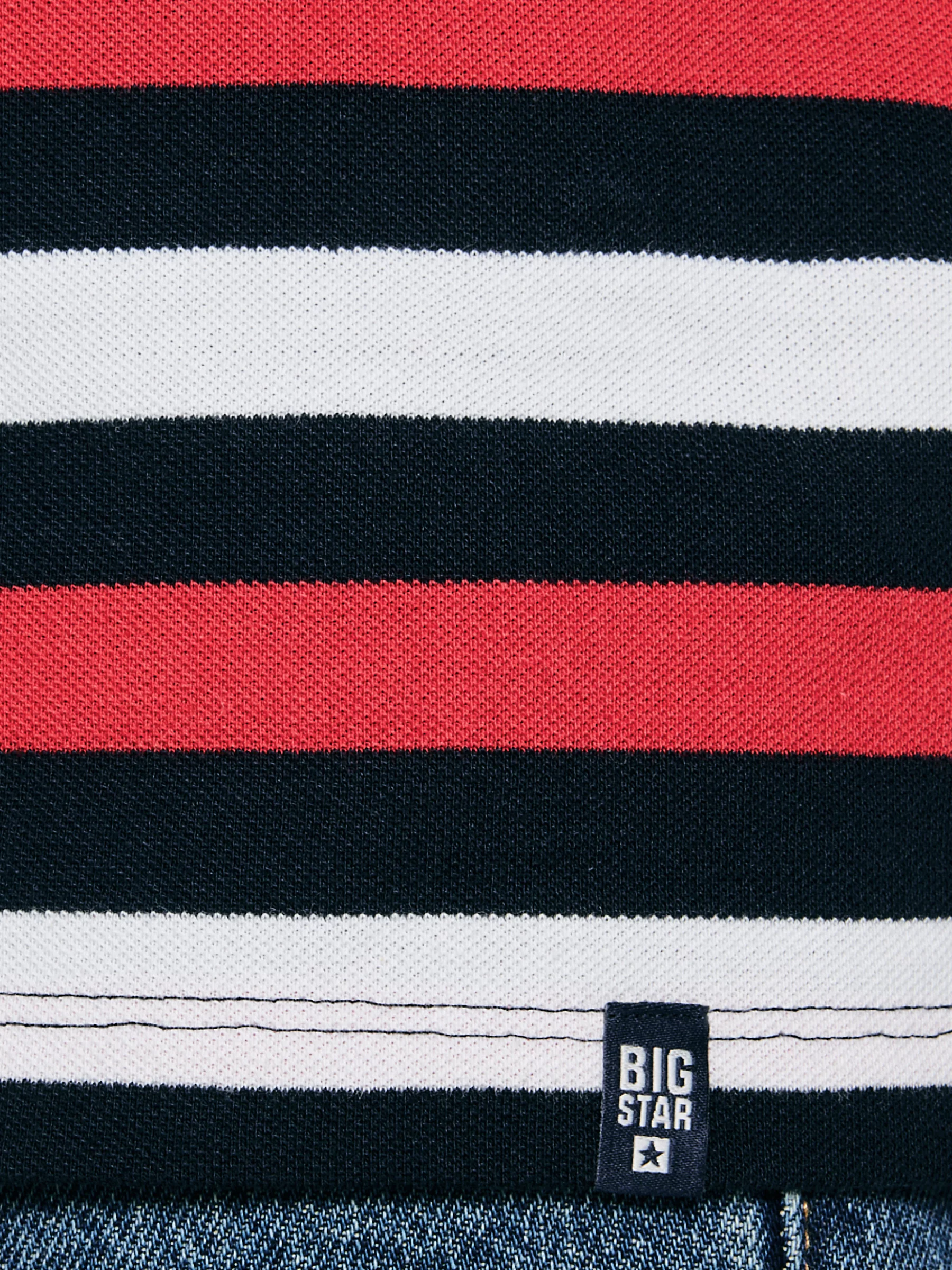 Koszulka męska polo w kolorowe paski Seulir 603