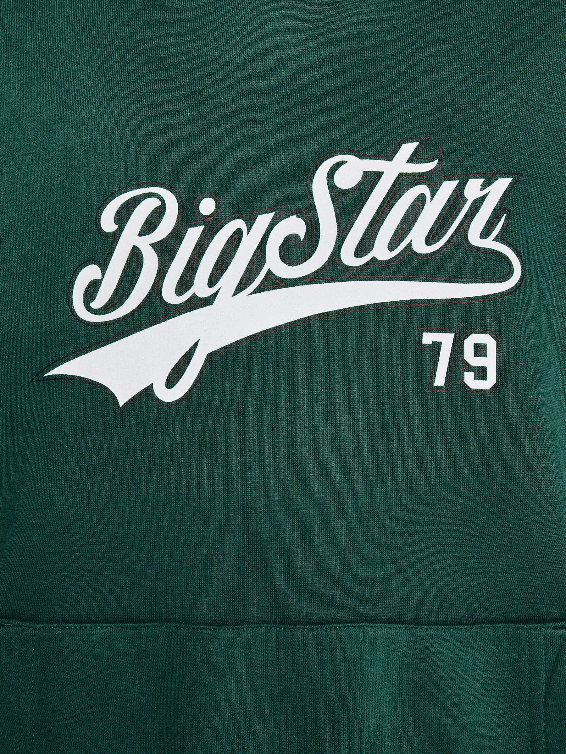 Bluza dziewczęca z kapturem z nadrukiem zielona Rubilia 304