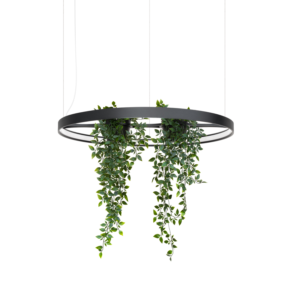 SELSEY Żyrandol Rio Bio LED 78 cm czarny 3000K