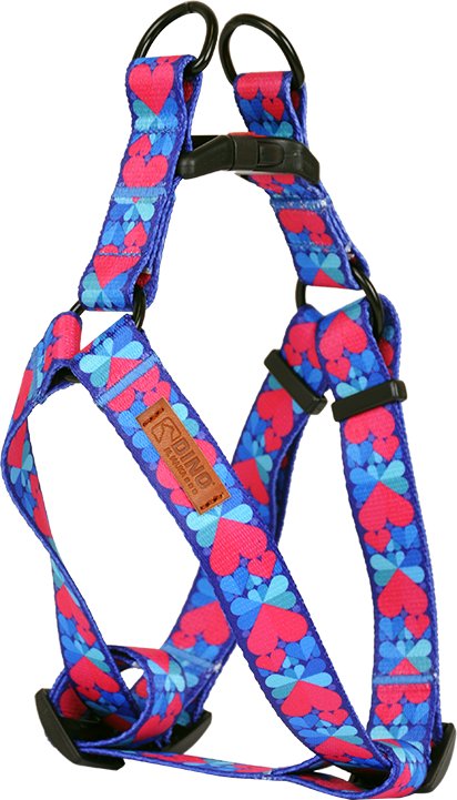 Dino DINO SZELKI TAŚMA REG. IVO 20mm SERCA dł. 40-60cm