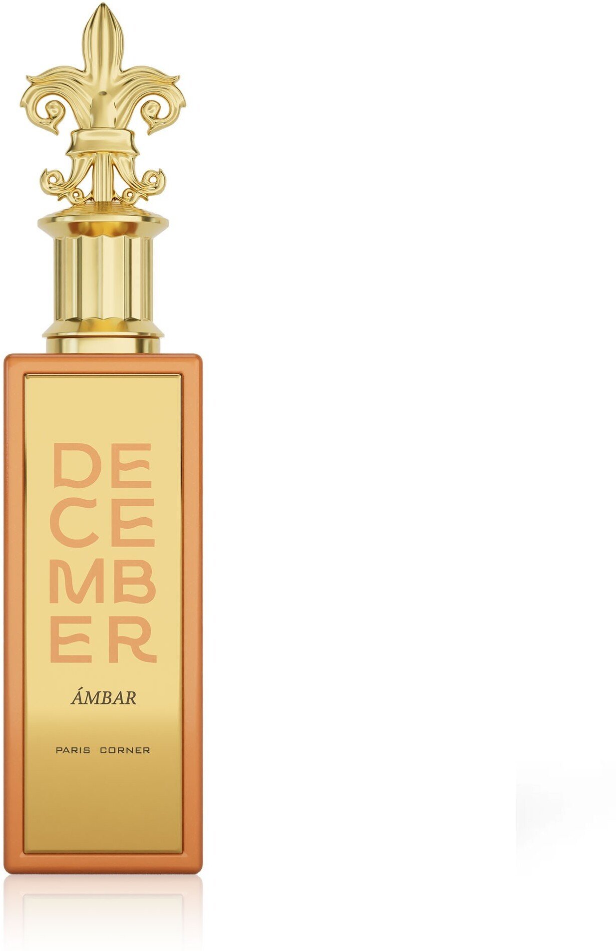 Paris Corner December Ambar Eau De Parfum 100ml