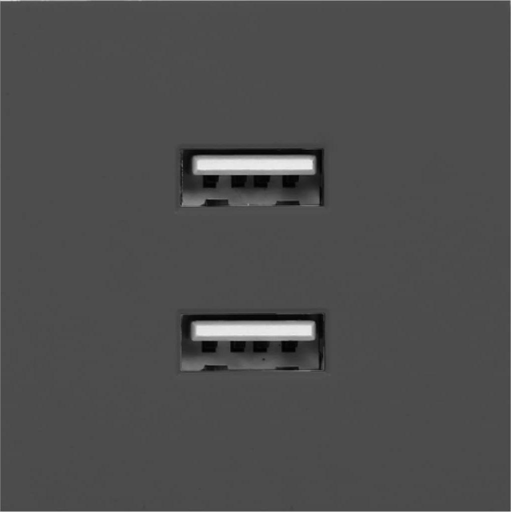 Orno NOEN USB x 2, podwójny port modułowy 45x45mm z ładowarką USB, 2,1A 5V DC, czarny