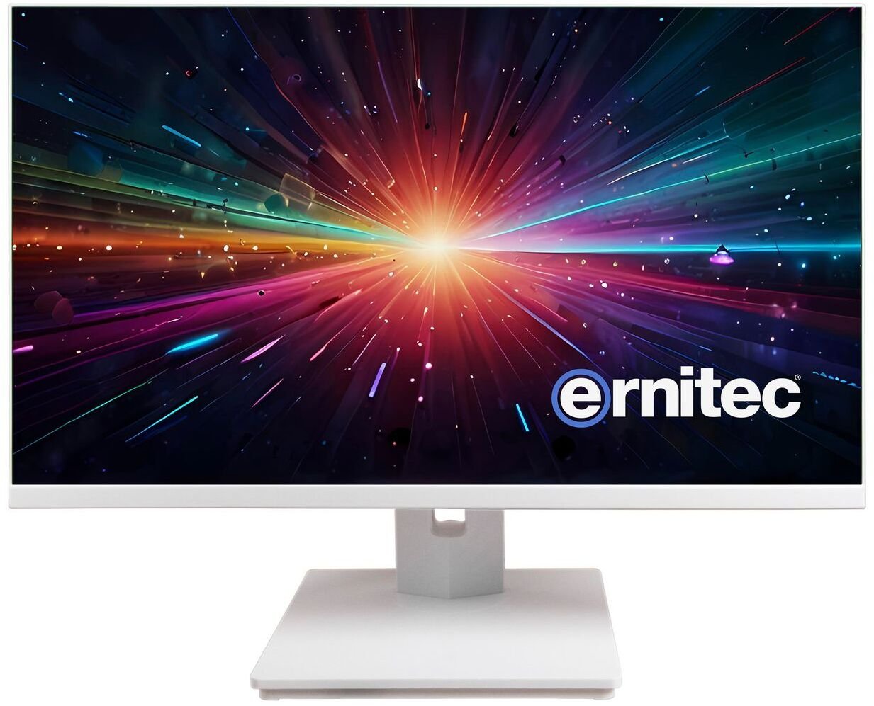 Ernitec 24'' Surveillance monitor