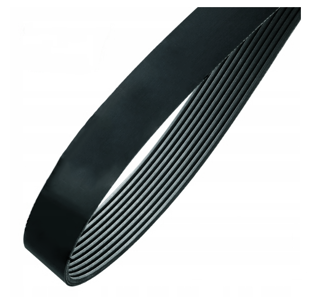 Zipro Dunk/Dunk Gold - pasek 465J