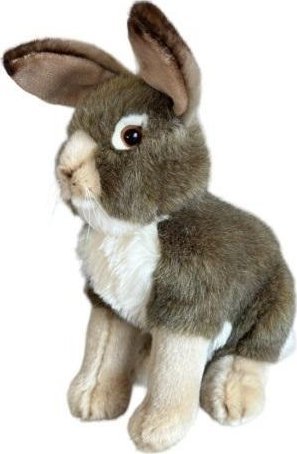 Zając szary 30cm