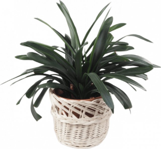 Wnuk Osłona na donicę (Ażur/Biała/38cm)