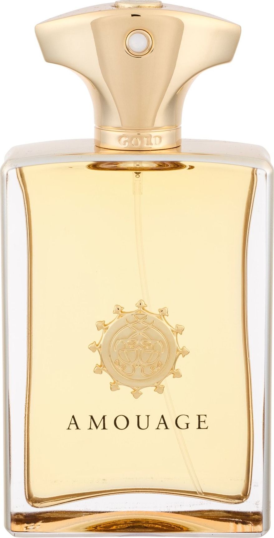 Фото - Чоловічі парфуми Amouage Gold Man EDP 100 ml 