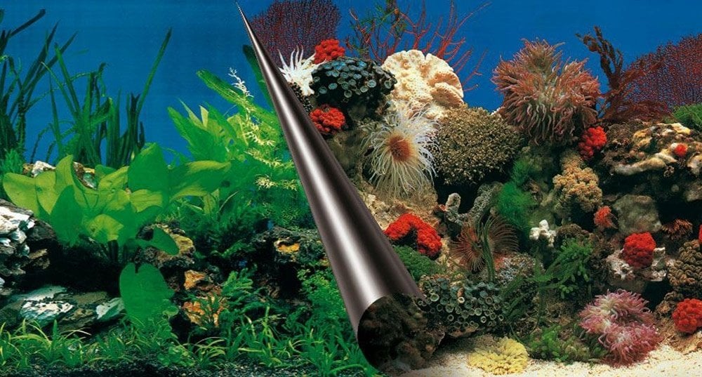 Tło do akwarium, skały/rafa koralowa, 120x50 cm