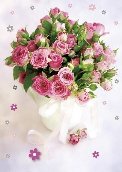 Armin Style Karnet GM-789