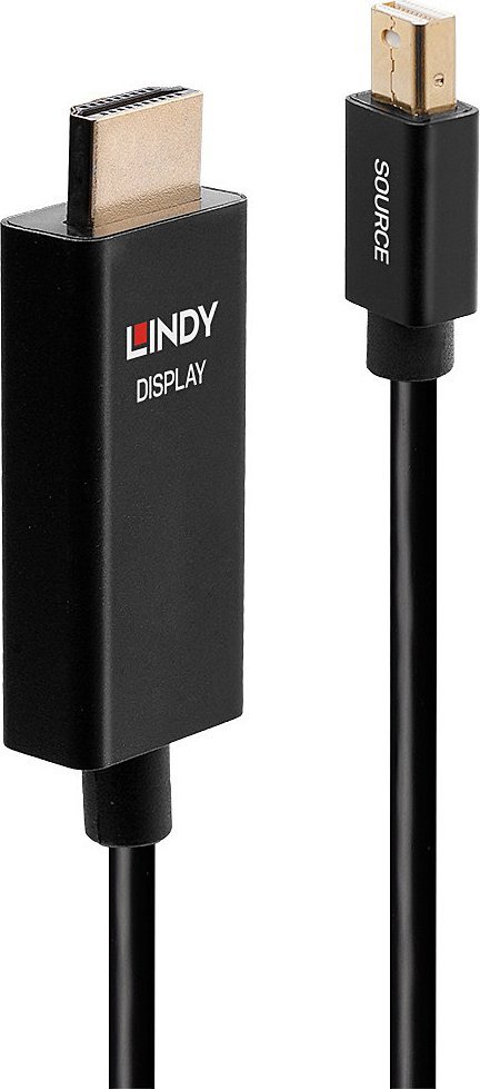 Kabel Lindy DisplayPort Mini - HDMI 1m czarny (40921)