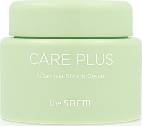 theSaem Care Plus Artemisia Steam Krem do twarzy 100ml