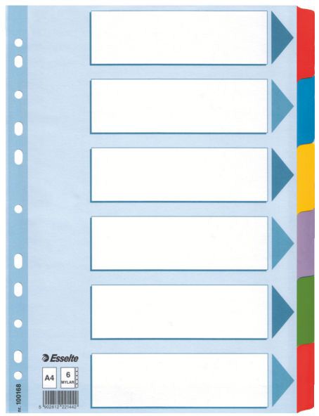 Esselte PRZEKŁADKI KOLOROWE KARTONOWE ESSELTE KARTA OPISOWA MYLAR A4 6 KART (100168)